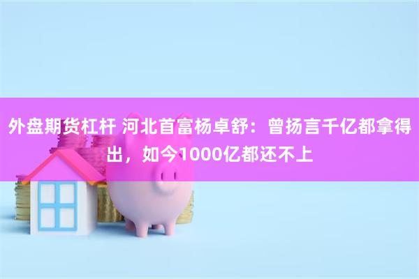 外盘期货杠杆 河北首富杨卓舒：曾扬言千亿都拿得出，如今1000亿都还不上