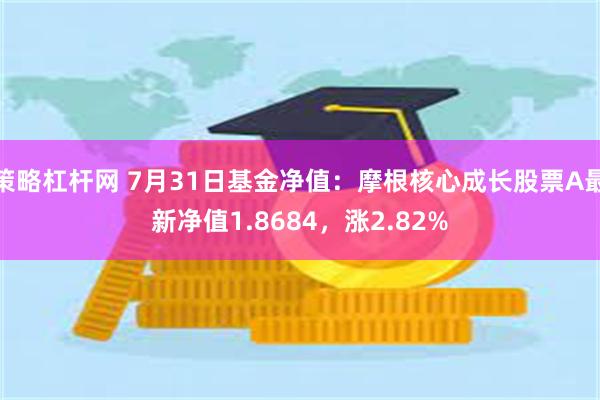 策略杠杆网 7月31日基金净值：摩根核心成长股票A最新净值1.8684，涨2.82%