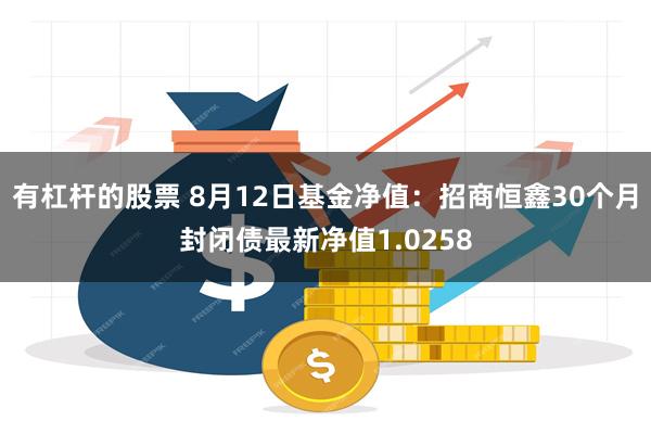 有杠杆的股票 8月12日基金净值：招商恒鑫30个月封闭债最新净值1.0258