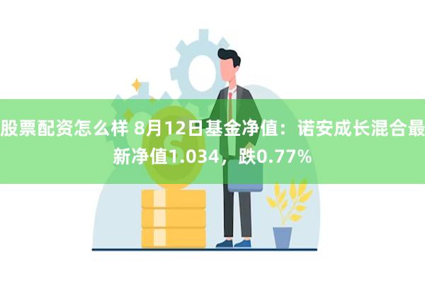 股票配资怎么样 8月12日基金净值：诺安成长混合最新净值1.034，跌0.77%