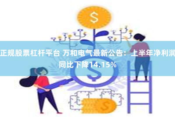 正规股票杠杆平台 万和电气最新公告：上半年净利润同比下降14.15%