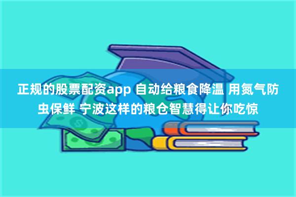 正规的股票配资app 自动给粮食降温 用氮气防虫保鲜 宁波这样的粮仓智慧得让你吃惊