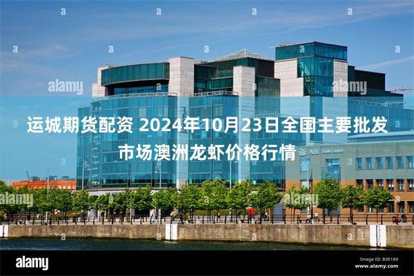 运城期货配资 2024年10月23日全国主要批发市场澳洲龙虾价格行情