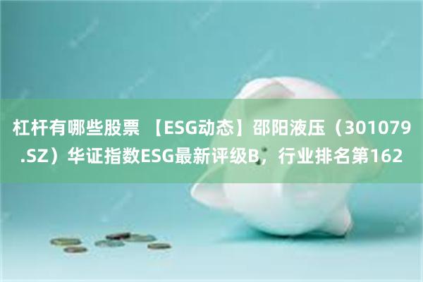 杠杆有哪些股票 【ESG动态】邵阳液压（301079.SZ）华证指数ESG最新评级B，行业排名第162