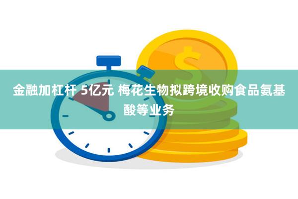 金融加杠杆 5亿元 梅花生物拟跨境收购食品氨基酸等业务