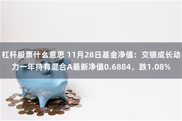 杠杆股票什么意思 11月28日基金净值：交银成长动力一年持有混合A最新净值0.6884，跌1.08%