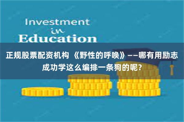 正规股票配资机构 《野性的呼唤》——哪有用励志成功学这么编排一条狗的呢？